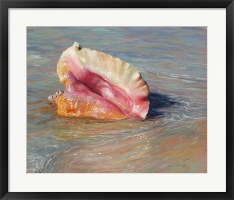 Framed Conch Shell Print