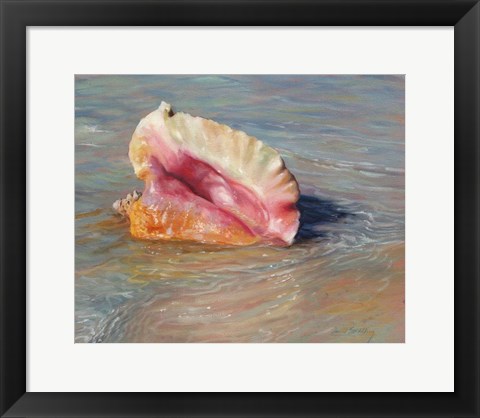 Framed Conch Shell Print