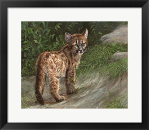 Framed Cougar Cub Print