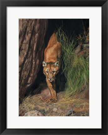 Framed Mountain Lion Print