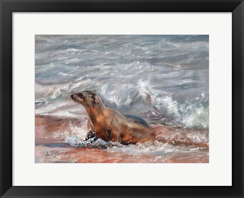 Framed Sealion Print