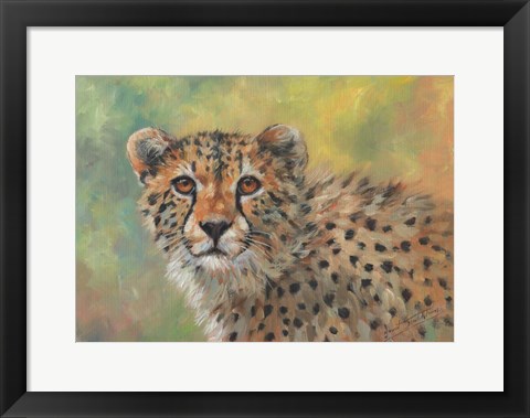 Framed Cheetah Portrait Print