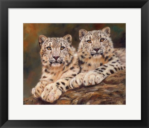 Framed Snow Leopards Print