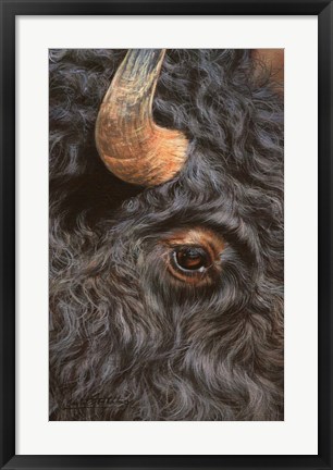 Framed Bison Close Up Print