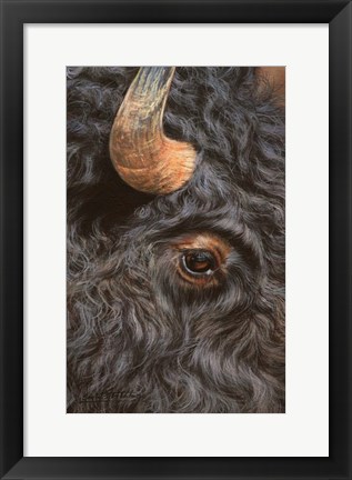 Framed Bison Close Up Print