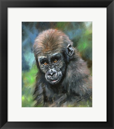 Framed Baby Mountain Gorilla Print