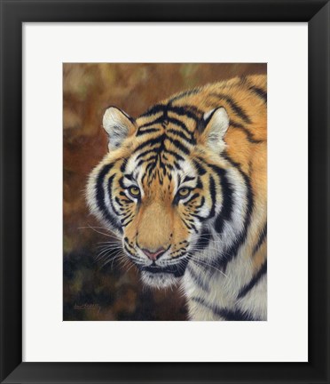 Framed Tiger Siberian Print