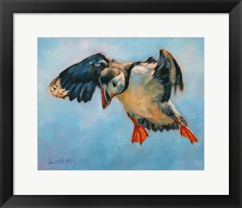 Framed Puffin Print