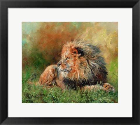 Framed Lion Full Of Grace Print