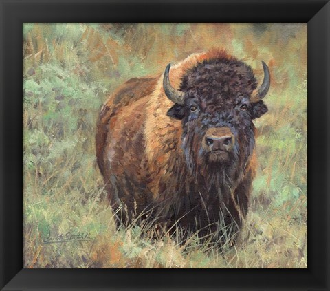 Framed Bison Print