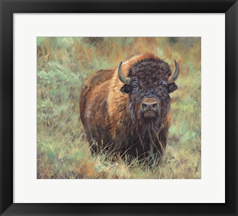 Framed Bison Print