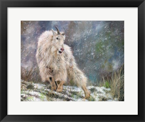 Framed Wild Mountain Goat Print