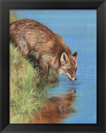 Framed Fox Drinking Print