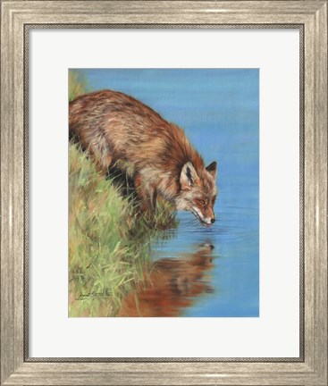 Framed Fox Drinking Print