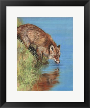 Framed Fox Drinking Print