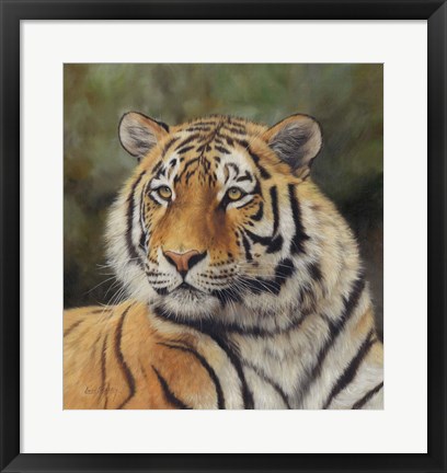 Framed Tiger Portrait 6 Print