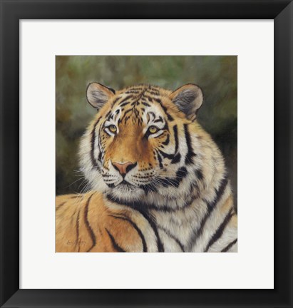 Framed Tiger Portrait 6 Print