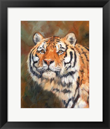 Framed Tiger 1111 Print