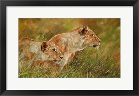 Framed Lion Brothers 2 Print