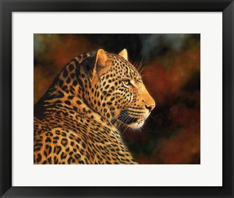 Framed Leopard Looking Right Print