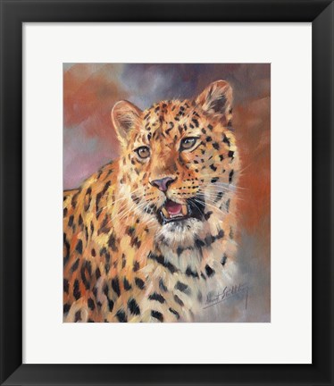 Framed Leopard Gaze Print