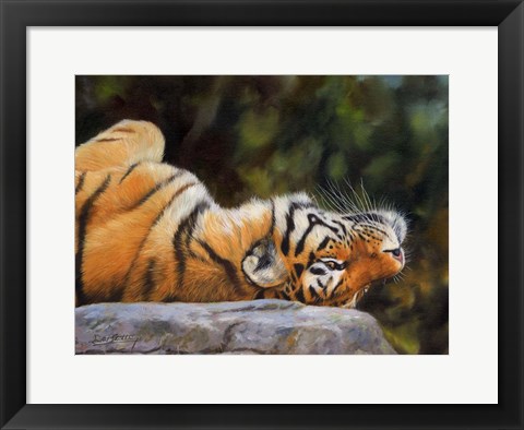 Framed Tiger On Back Print