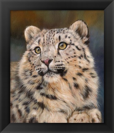 Framed Snow Leopard 6 Print