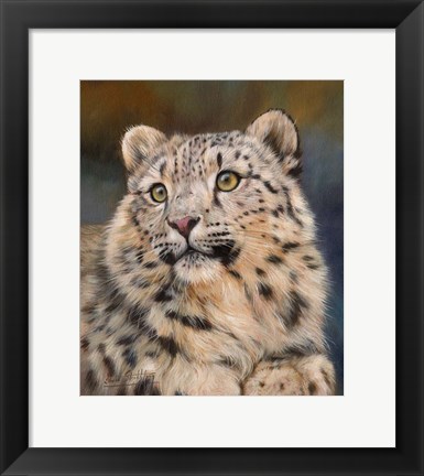 Framed Snow Leopard 6 Print