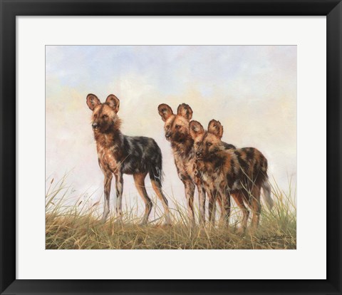 Framed 3 African Wild Dogs Print