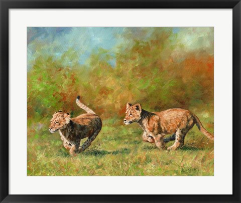 Framed Lion Cubs Running Print