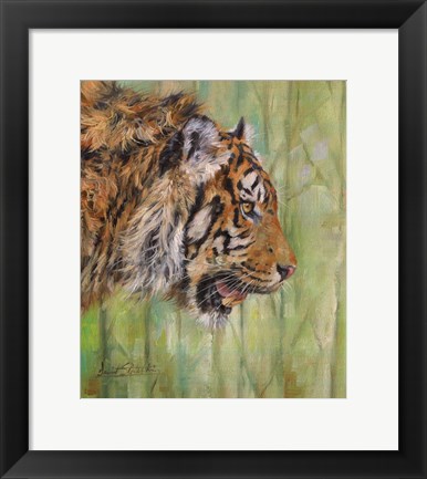 Framed Amur Tiger Profile Print