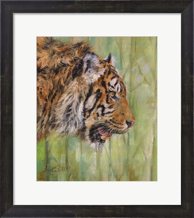 Framed Amur Tiger Profile Print