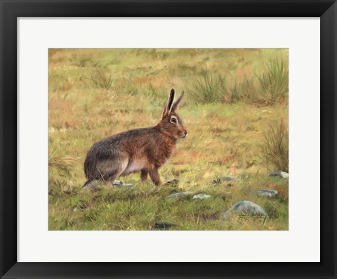 Framed Wild Hare Print