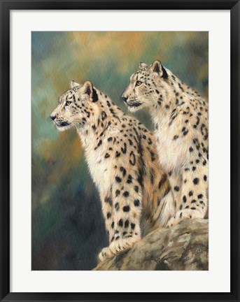 Framed Snow Leopard&#39;s Rock Print