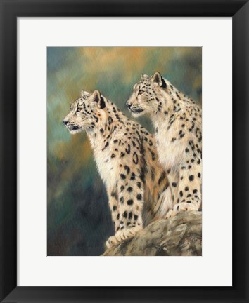 Framed Snow Leopard&#39;s Rock Print