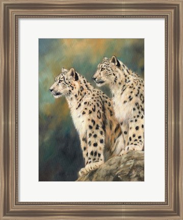 Framed Snow Leopard&#39;s Rock Print