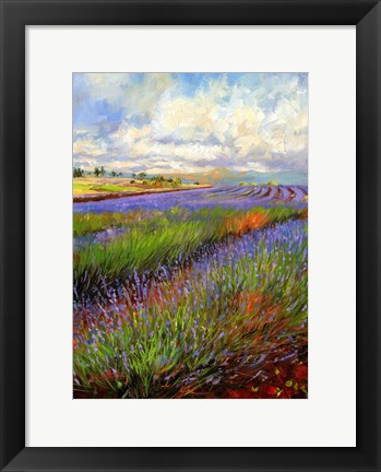 Framed Lavender Field Print