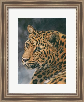 Framed Leopard Portrait 2 Print