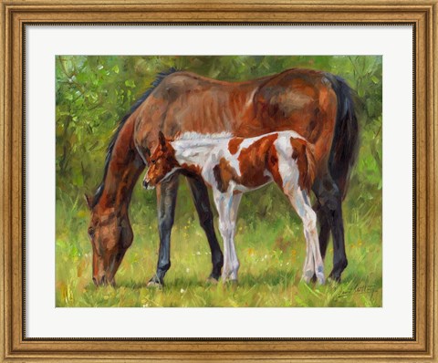 Framed Horse And Foal Grazing Print