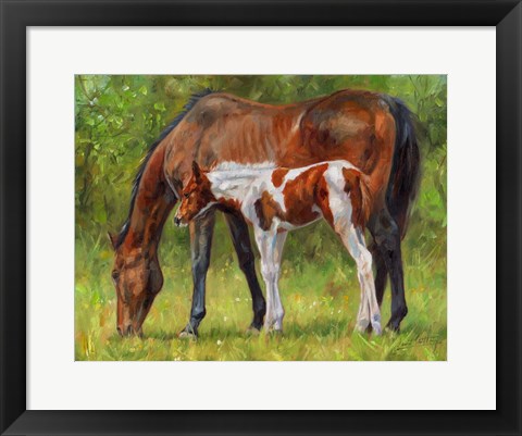 Framed Horse And Foal Grazing Print