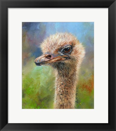 Framed Ostrich Print