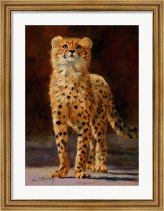 Framed Cheetah Cub Print