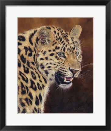 Framed Leopard Growl Print