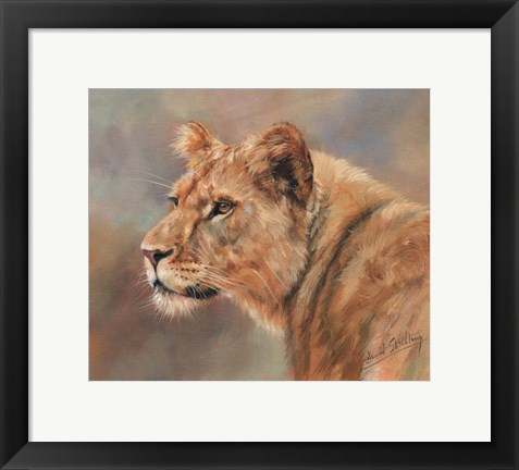 Framed Lioness Portrait Print