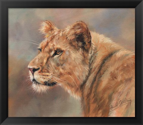 Framed Lioness Portrait Print