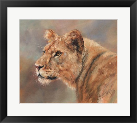 Framed Lioness Portrait Print