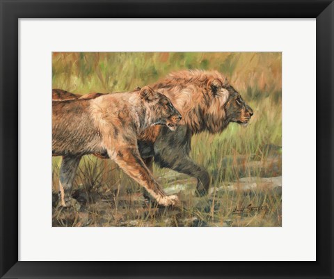 Framed Lion And Lioness Print