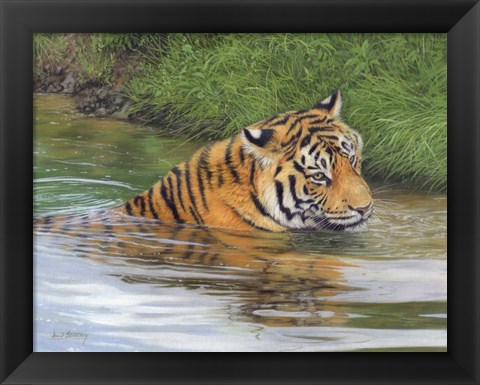 Framed Tiger Water 2 Print