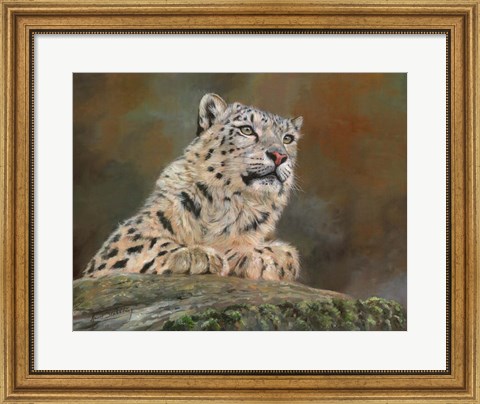 Framed Snow Leopard Rock Print