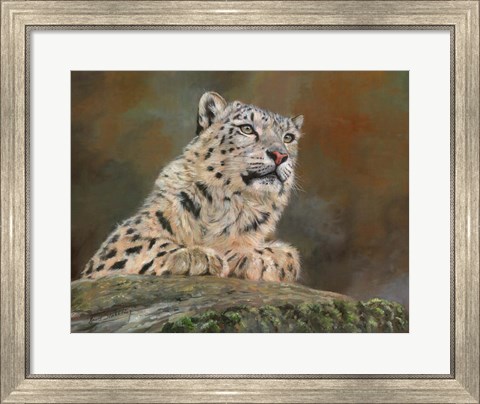 Framed Snow Leopard Rock Print